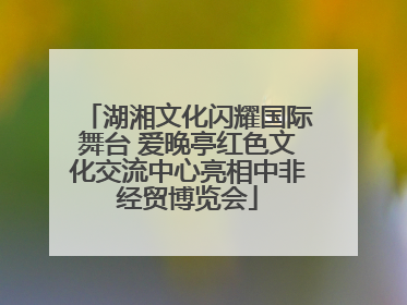 湖湘文化闪耀国际舞台 爱晚亭红色文化交流中心亮相中非经贸博览会