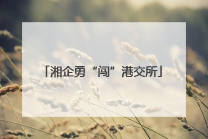 湘企勇“闯”港交所