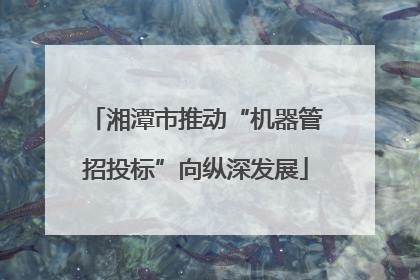 湘潭市推动“机器管招投标”向纵深发展