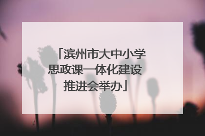 滨州市大中小学思政课一体化建设推进会举办