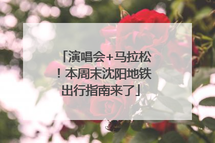 演唱会+马拉松！本周末沈阳地铁出行指南来了