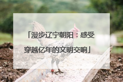 漫步辽宁朝阳：感受穿越亿年的文明交响