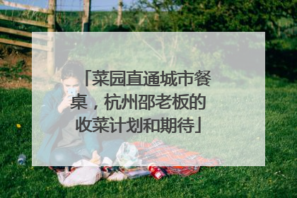 菜园直通城市餐桌，杭州邵老板的收菜计划和期待