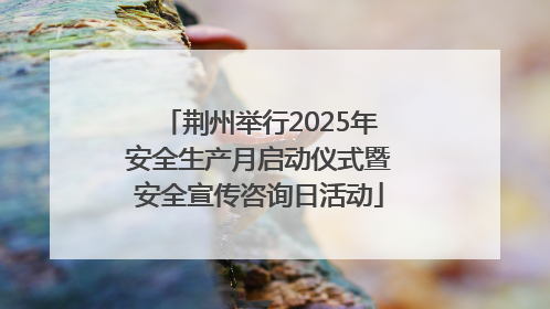 荆州举行2025年安全生产月启动仪式暨安全宣传咨询日活动
