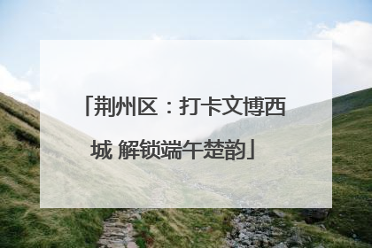 荆州区：打卡文博西城 解锁端午楚韵