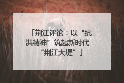 荆江评论：以“抗洪精神”筑起新时代“荆江大堤”