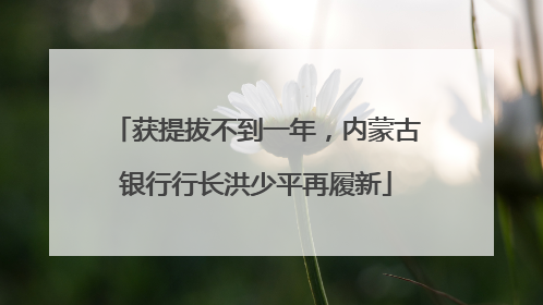 获提拔不到一年，内蒙古银行行长洪少平再履新