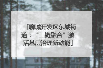 聊城开发区东城街道：“三链融合”激活基层治理新动能