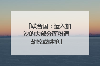 联合国：运入加沙的大部分面粉遭劫掠或哄抢