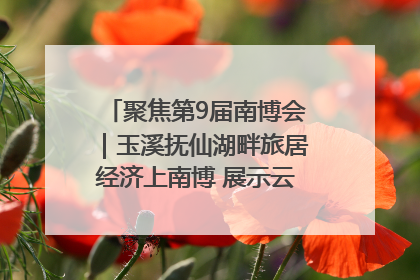 聚焦第9届南博会｜玉溪抚仙湖畔旅居经济上南博 展示云南生活新样本