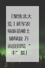 聚焦北大荒丨延军农场新苗破土铺绿浪 万亩良田绘“丰”景