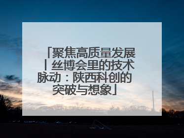 聚焦高质量发展丨丝博会里的技术脉动：陕西科创的突破与想象