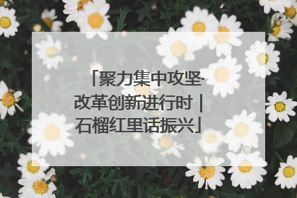聚力集中攻坚·改革创新进行时｜石榴红里话振兴