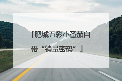 肥城五彩小番茄自带“销量密码”