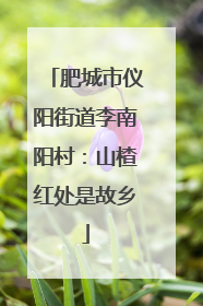 肥城市仪阳街道李南阳村：山楂红处是故乡
