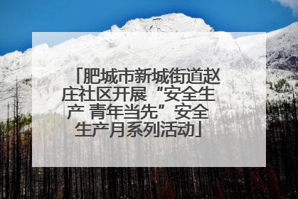 肥城市新城街道赵庄社区开展“安全生产 青年当先”安全生产月系列活动