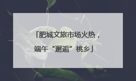 肥城文旅市场火热，端午“邂逅”桃乡