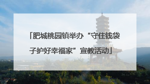肥城桃园镇举办“守住钱袋子护好幸福家”宣教活动