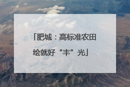 肥城：高标准农田绘就好“丰”光
