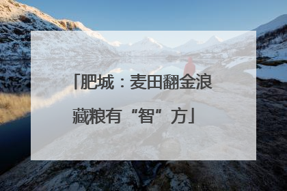 肥城：麦田翻金浪藏粮有“智”方
