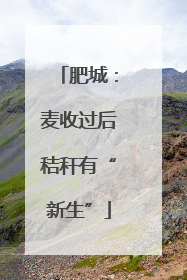 肥城：麦收过后秸秆有“新生”