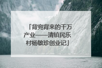 背兜背来的千万产业——清镇民乐村杨敏珍创业记