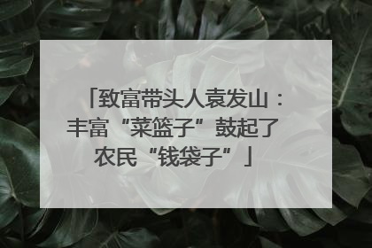 致富带头人袁发山：丰富“菜篮子”鼓起了农民“钱袋子”