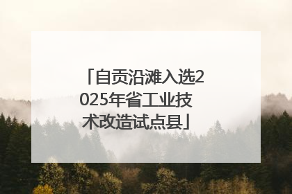 自贡沿滩入选2025年省工业技术改造试点县