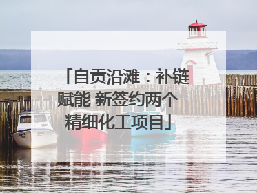 自贡沿滩：补链赋能 新签约两个精细化工项目