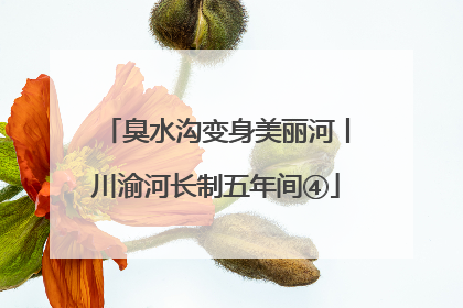 臭水沟变身美丽河丨川渝河长制五年间④