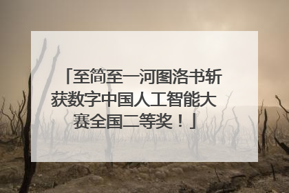 至简至一河图洛书斩获数字中国人工智能大赛全国二等奖！