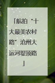 航拍“十大最美农村路”沧州大运河堤顶路
