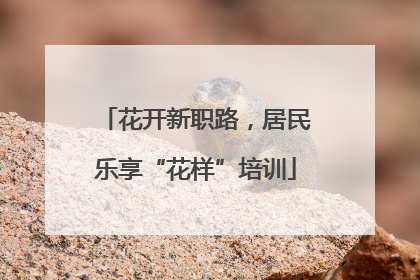 花开新职路，居民乐享“花样”培训