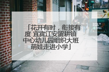 花开有时，衔接有度 宜宾江安留耕镇中心幼儿园组织大班萌娃走进小学