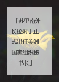 苏里南外长拉姆丁正式出任美洲国家组织秘书长