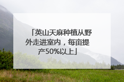英山天麻种植从野外走进室内，每亩提产50%以上