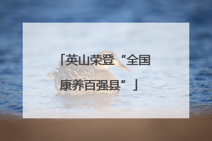 英山荣登“全国康养百强县”