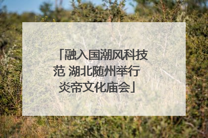 融入国潮风科技范 湖北随州举行炎帝文化庙会