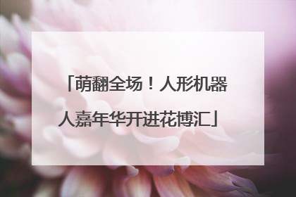 萌翻全场！人形机器人嘉年华开进花博汇