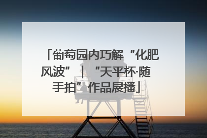 葡萄园内巧解“化肥风波”｜“天平杯·随手拍”作品展播