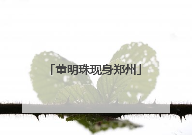 董明珠现身郑州