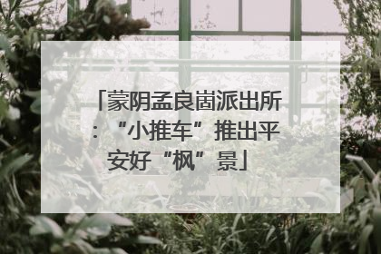 蒙阴孟良崮派出所：“小推车”推出平安好“枫”景