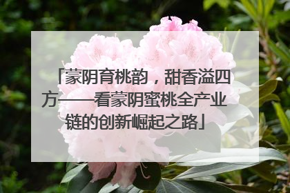 蒙阴育桃韵，甜香溢四方——看蒙阴蜜桃全产业链的创新崛起之路