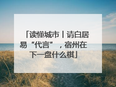 读懂城市丨请白居易“代言”，宿州在下一盘什么棋