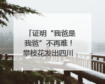 证明“我爸是我爸”不再难！攀枝花发出四川首张“户籍人口直系亲属关系谱”