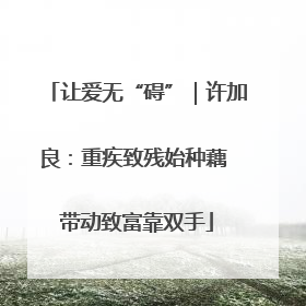 让爱无“碍”｜许加良：重疾致残始种藕 带动致富靠双手