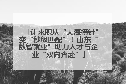 让求职从“大海捞针”变“秒级匹配”！山东“数智就业”助力人才与企业“双向奔赴”