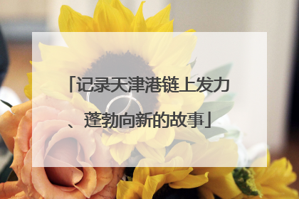 记录天津港链上发力、蓬勃向新的故事