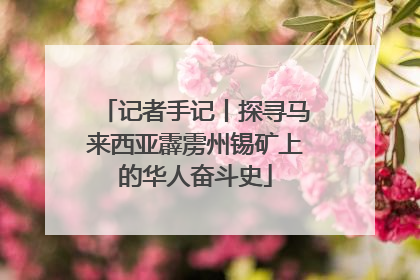 记者手记丨探寻马来西亚霹雳州锡矿上的华人奋斗史