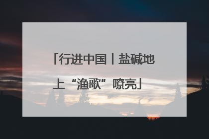 行进中国丨盐碱地上“渔歌”嘹亮